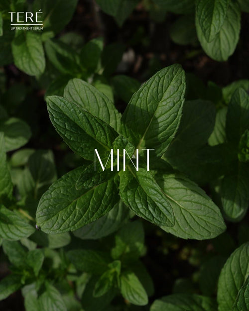 Mynte
