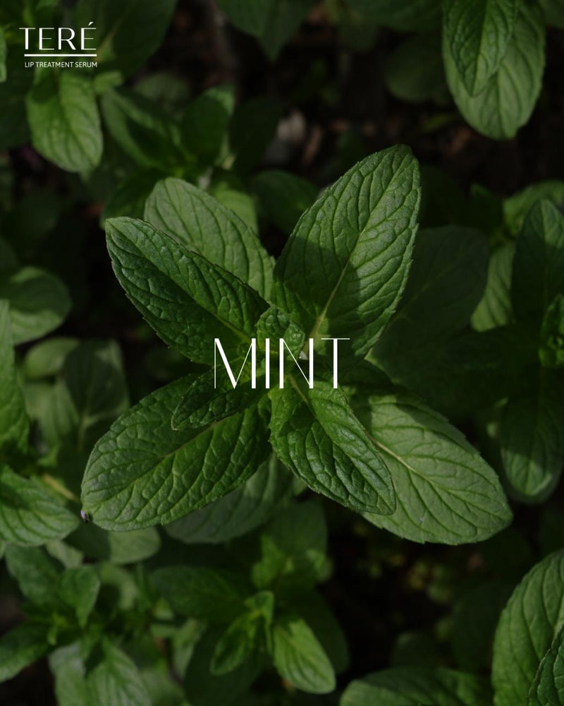 Mynte
